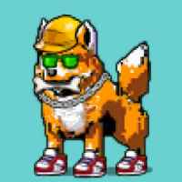 DogePunks #3062