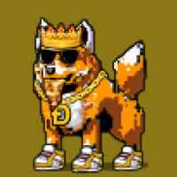 DogePunks #2402