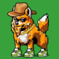 DogePunks #354