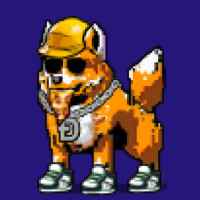 DogePunks #242