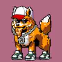 DogePunks #4156