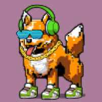 DogePunks #3629