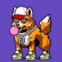 DogePunks #523