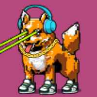 DogePunks #1460