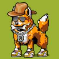 DogePunks #1455