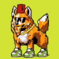 DogePunks #1097