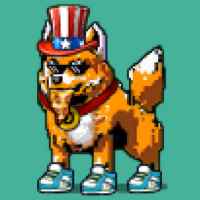 DogePunks #111
