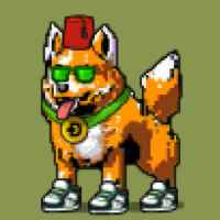 DogePunks #3234