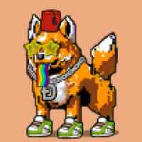 DogePunks #2196
