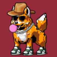 DogePunks #2642