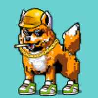 DogePunks #4000
