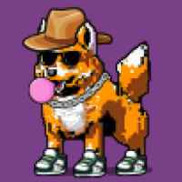 DogePunks #1100