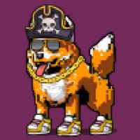DogePunks #850