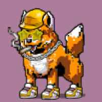 DogePunks #2458