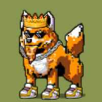 DogePunks #1998