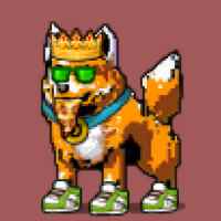 DogePunks #4211