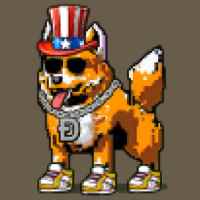 DogePunks #1632