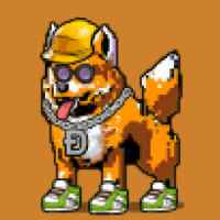 DogePunks #1493
