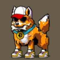 DogePunks #2821