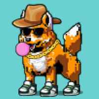 DogePunks #4723