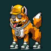 DogePunks #1214