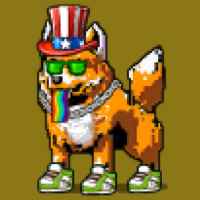 DogePunks #1872