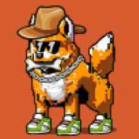 DogePunks #3001