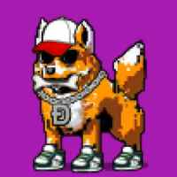 DogePunks #3694