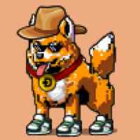 DogePunks #1918