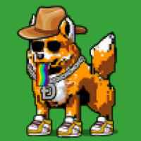 DogePunks #406