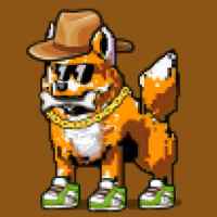 DogePunks #510