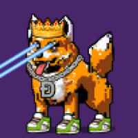 DogePunks #876