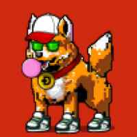 DogePunks #844