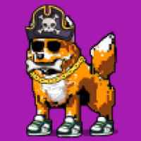 DogePunks #1525