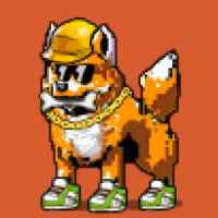 DogePunks #524