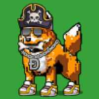 DogePunks #2563