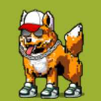 DogePunks #1804