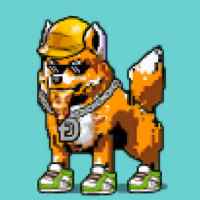 DogePunks #4936