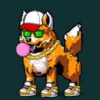 DogePunks #2427