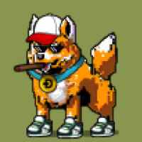 DogePunks #1571