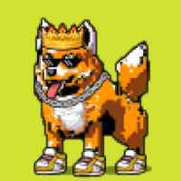 DogePunks #4348