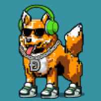 DogePunks #1465