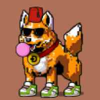 DogePunks #528