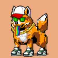 DogePunks #89