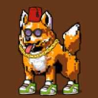 DogePunks #4122