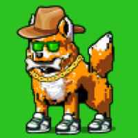 DogePunks #4495