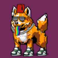 DogePunks #1844