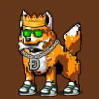 DogePunks #2713