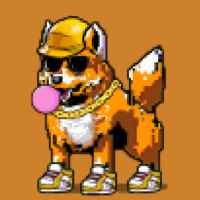 DogePunks #3638