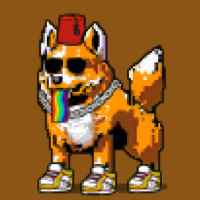 DogePunks #4232
